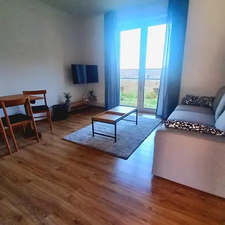 Violetta Nové Město nad Metují